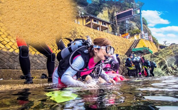 魅惑の水中世界へご案内　体験ダイビング
